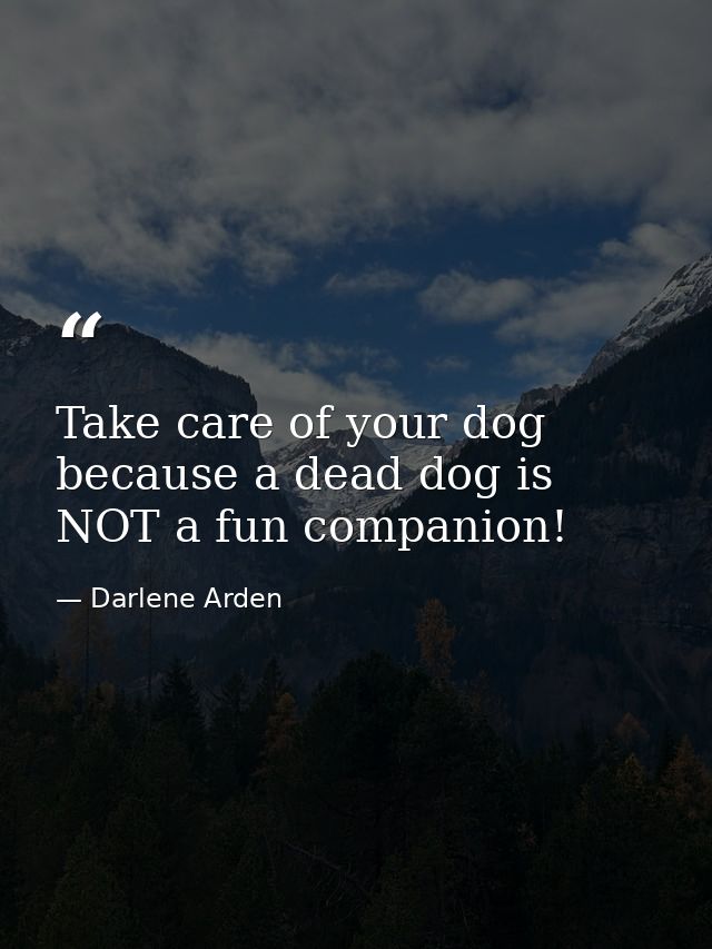 Take care of your dog because a dead dog is NOT a fun companion! — Darlene Arden