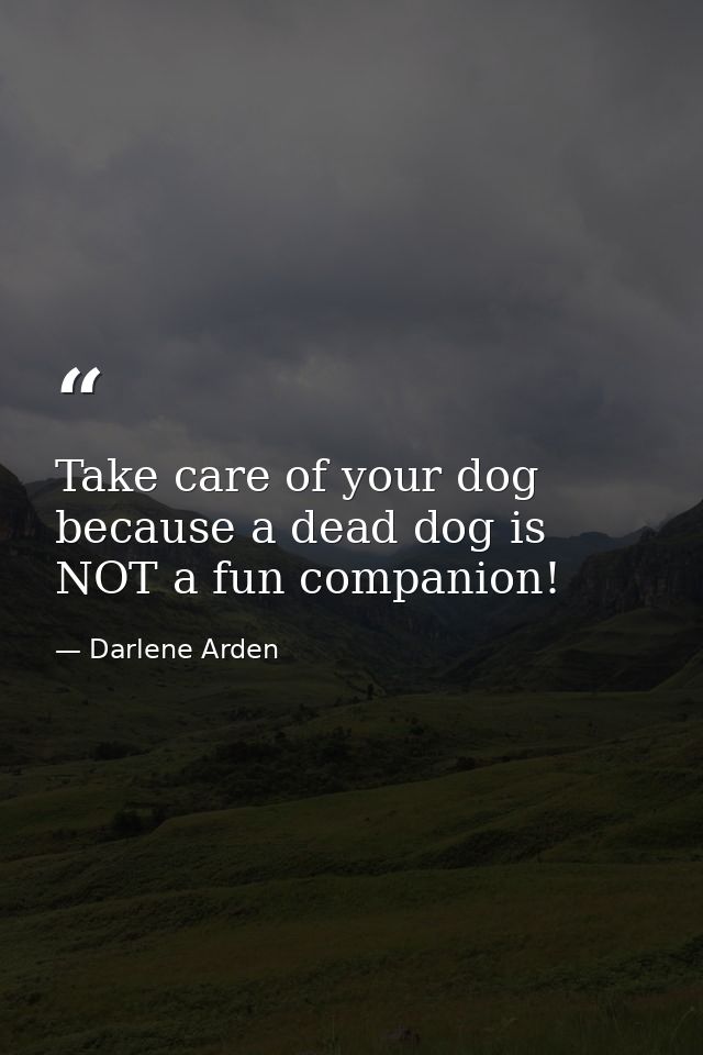Take care of your dog because a dead dog is NOT a fun companion! — Darlene Arden