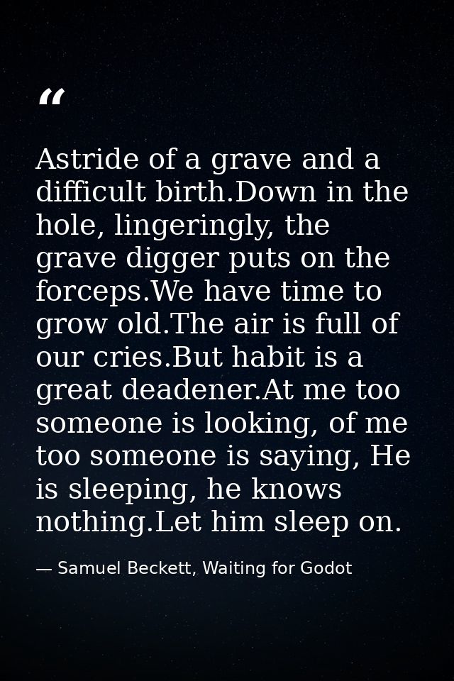 Astride of a grave and a difficult birth.Down in the hole, lingeringly, the grave digger puts on the forceps.We have tim — Samuel Beckett, Waiting for Godot
