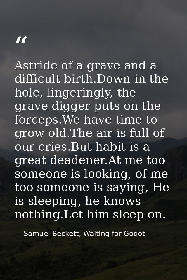Astride of a grave and a difficult birth.Down in the hole, lingeringly, the grave digger puts on the forceps.We have tim — Samuel Beckett, Waiting for Godot
