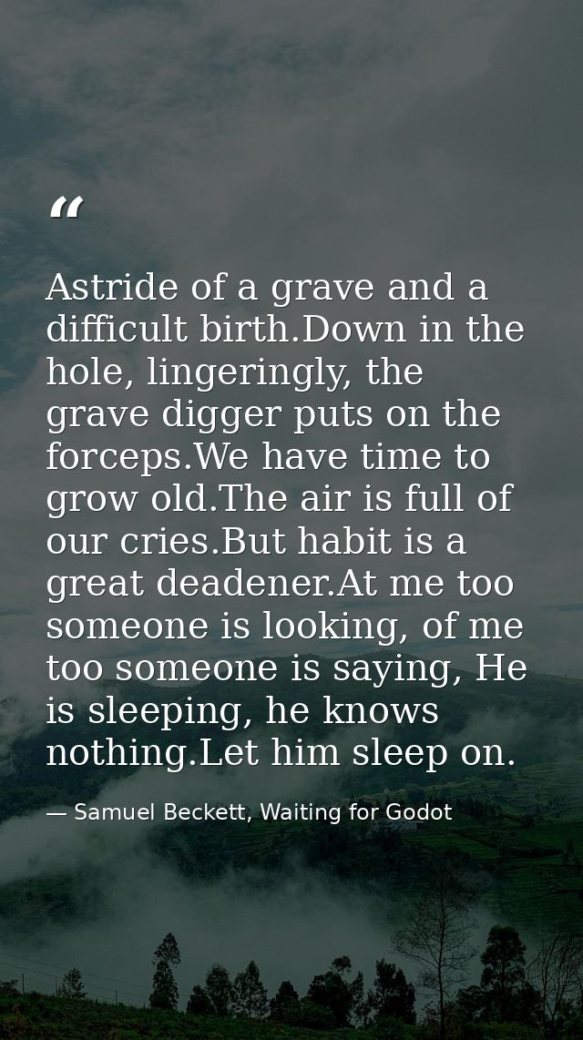 Astride of a grave and a difficult birth.Down in the hole, lingeringly, the grave digger puts on the forceps.We have tim — Samuel Beckett, Waiting for Godot