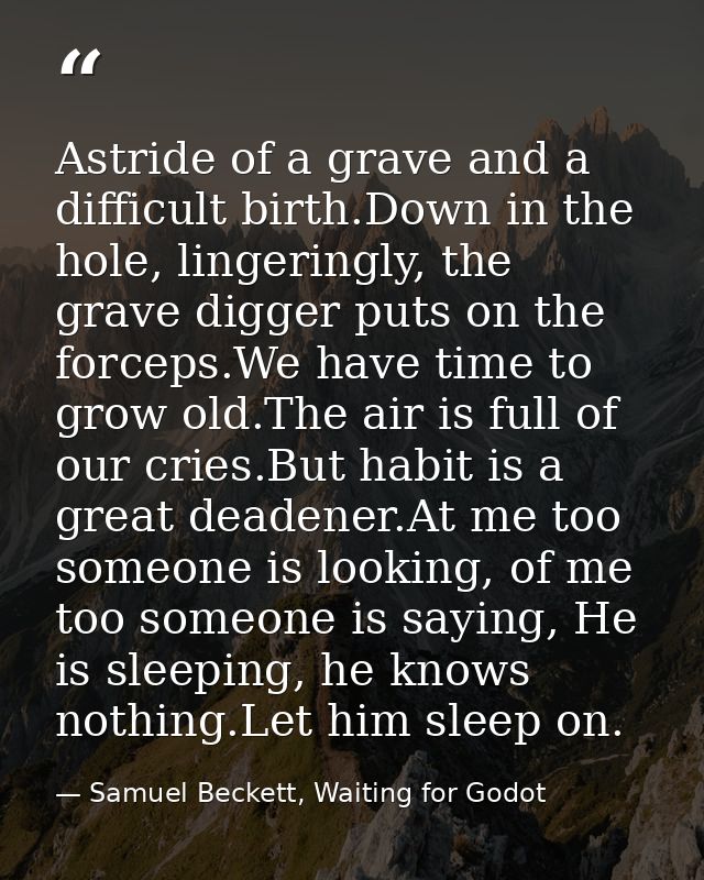 Astride of a grave and a difficult birth.Down in the hole, lingeringly, the grave digger puts on the forceps.We have tim — Samuel Beckett, Waiting for Godot
