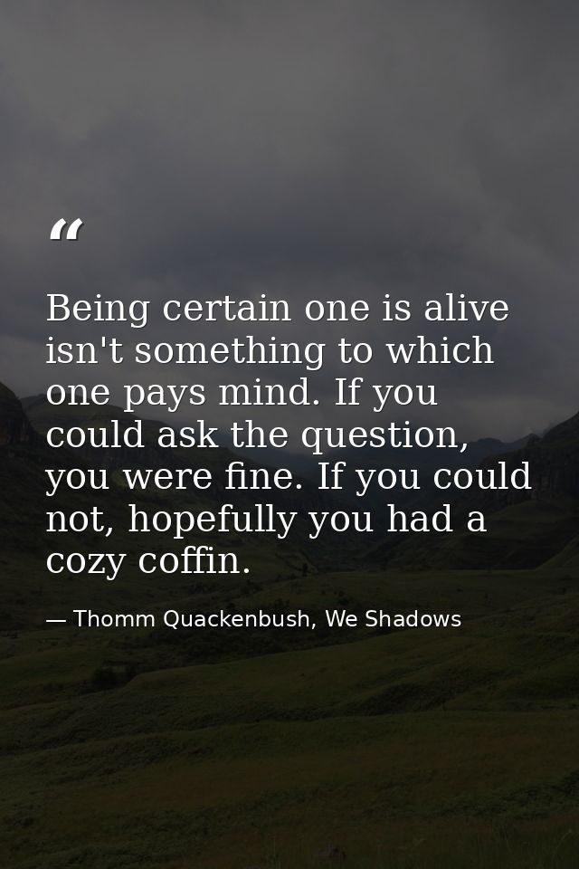 Being certain one is alive isn't something to which one pays mind. If you could ask the question, you were fine. If you  — Thomm Quackenbush, We Shadows