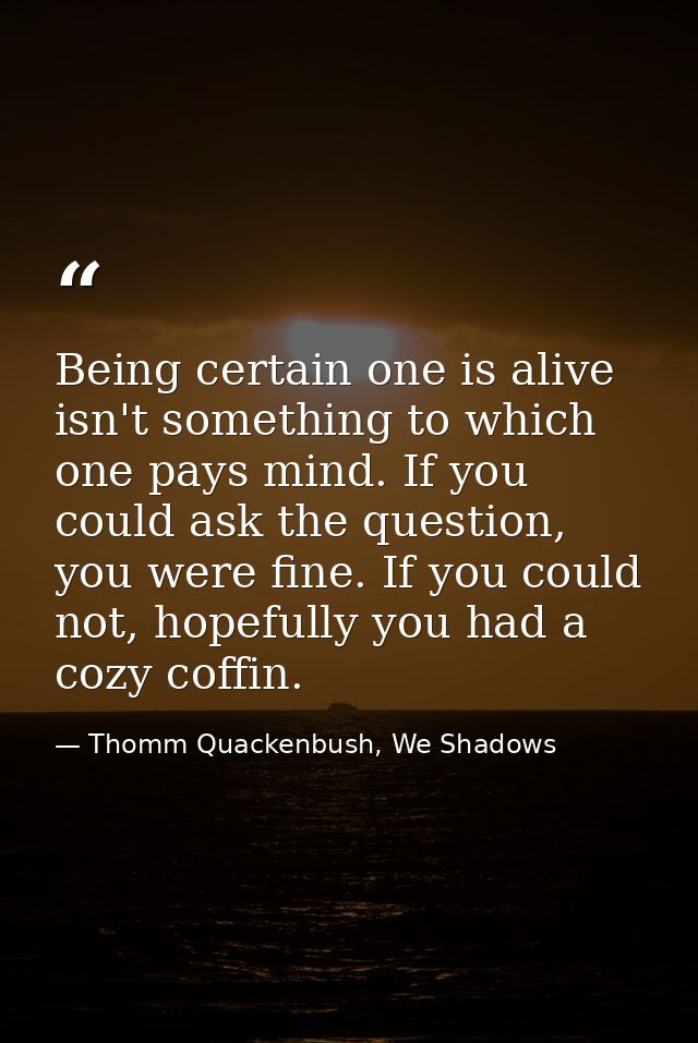 Being certain one is alive isn't something to which one pays mind. If you could ask the question, you were fine. If you  — Thomm Quackenbush, We Shadows