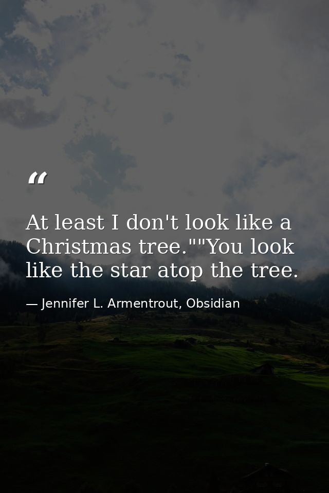 At least I don't look like a Christmas tree.""You look like the star atop the tree. — Jennifer L. Armentrout, Obsidian