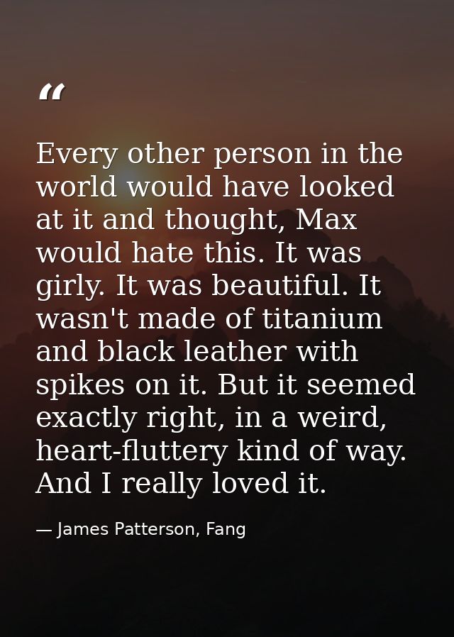 Every other person in the world would have looked at it and thought, Max would hate this. It was girly. It was beautiful — James Patterson, Fang