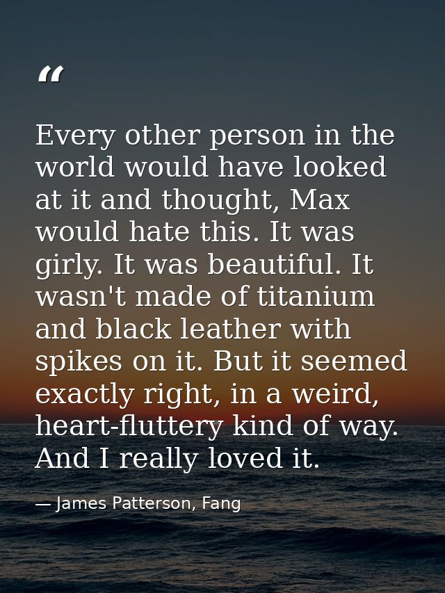 Every other person in the world would have looked at it and thought, Max would hate this. It was girly. It was beautiful — James Patterson, Fang