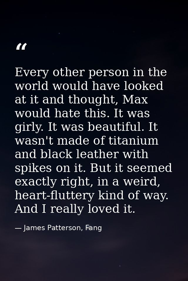 Every other person in the world would have looked at it and thought, Max would hate this. It was girly. It was beautiful — James Patterson, Fang