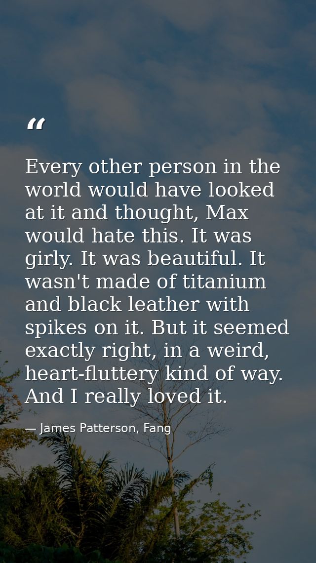 Every other person in the world would have looked at it and thought, Max would hate this. It was girly. It was beautiful — James Patterson, Fang
