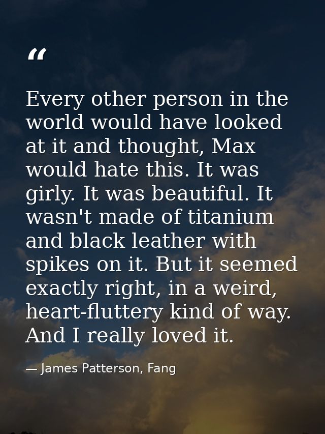 Every other person in the world would have looked at it and thought, Max would hate this. It was girly. It was beautiful — James Patterson, Fang