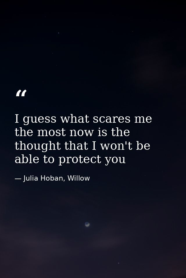 I guess what scares me the most now is the thought that I won't be able to protect you — Julia Hoban, Willow