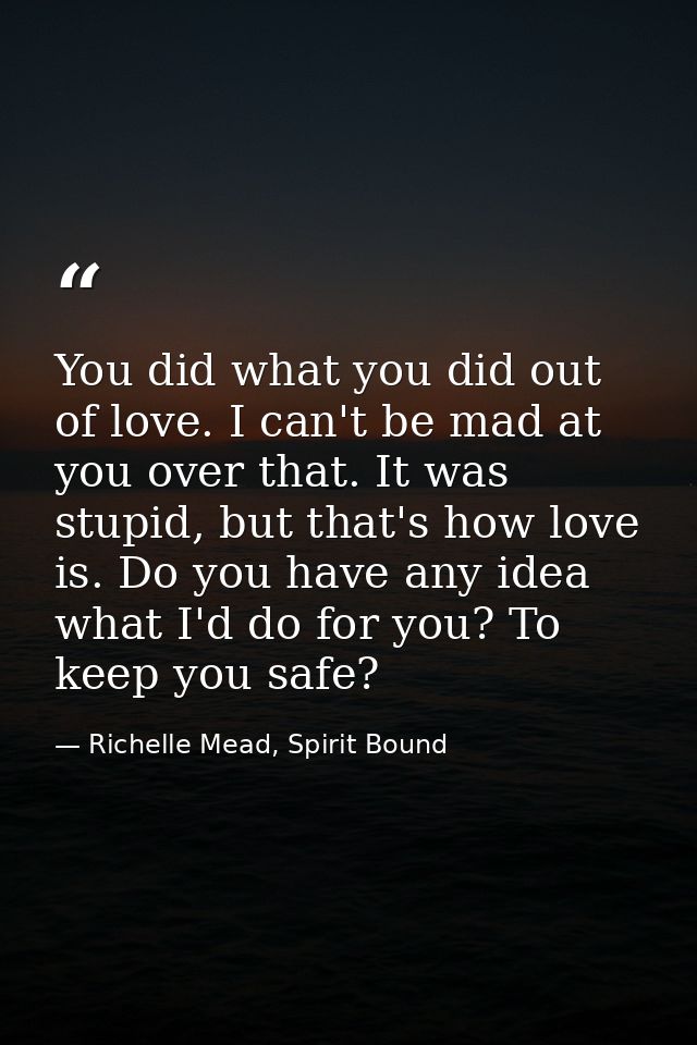 You did what you did out of love. I can't be mad at you over that. It was stupid, but that's how love is. Do you have an — Richelle Mead, Spirit Bound