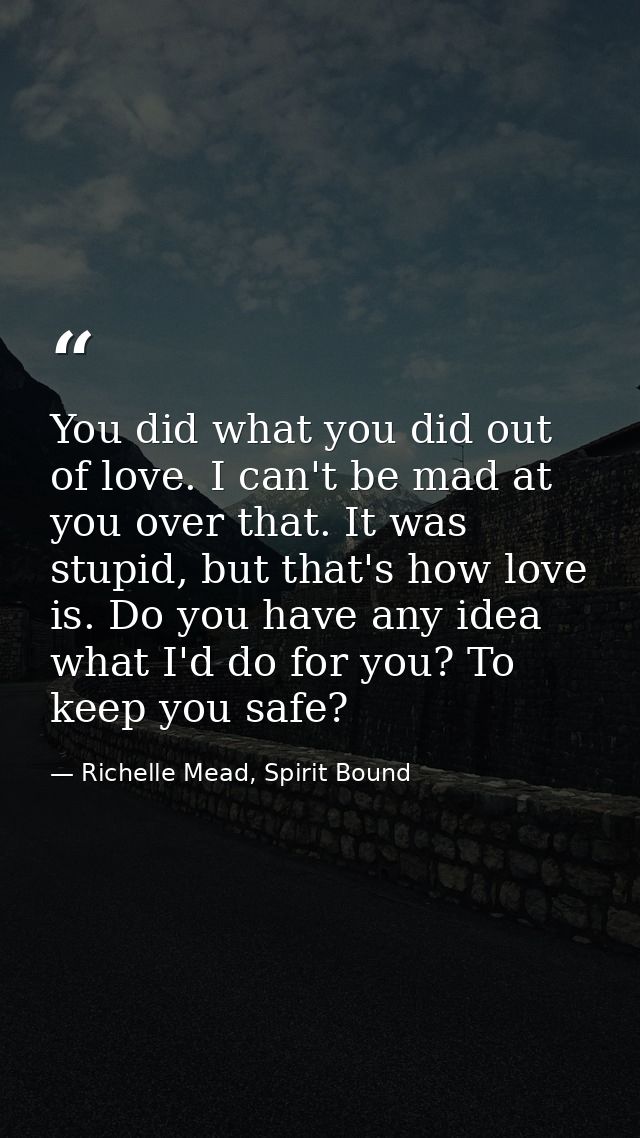 You did what you did out of love. I can't be mad at you over that. It was stupid, but that's how love is. Do you have an — Richelle Mead, Spirit Bound