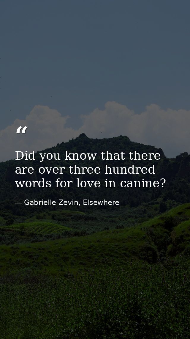 Did you know that there are over three hundred words for love in canine? — Gabrielle Zevin, Elsewhere