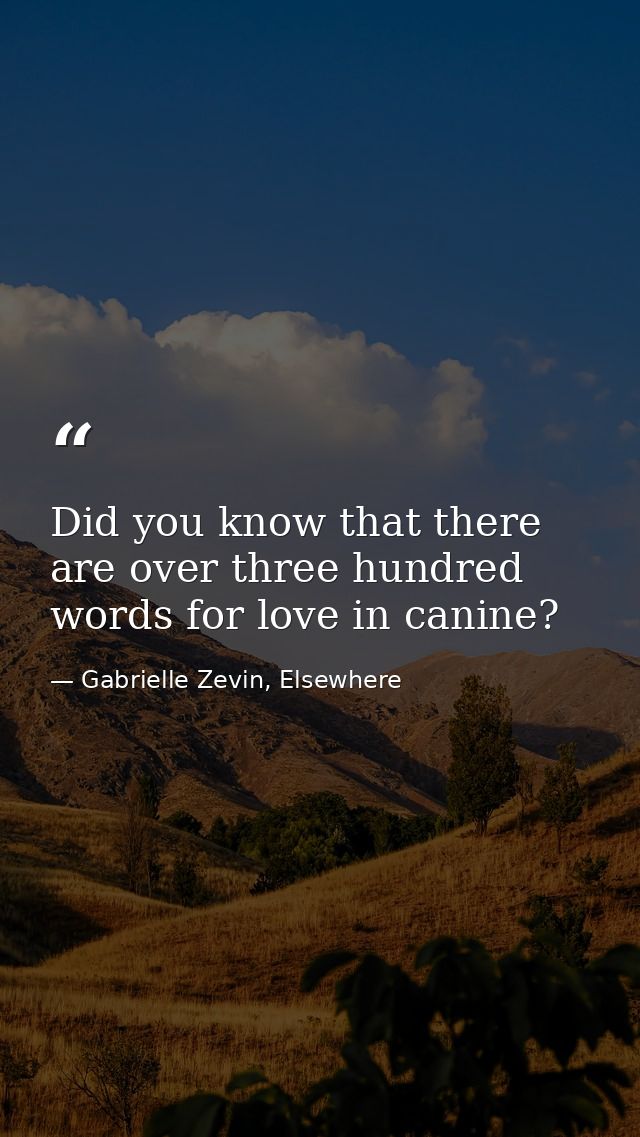 Did you know that there are over three hundred words for love in canine? — Gabrielle Zevin, Elsewhere