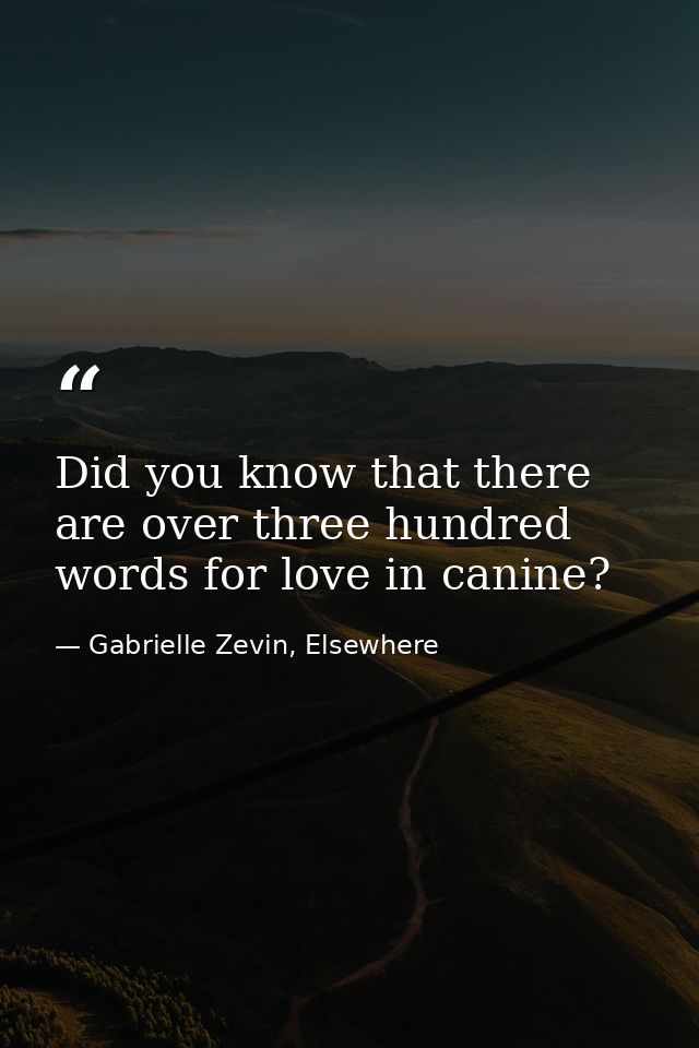 Did you know that there are over three hundred words for love in canine? — Gabrielle Zevin, Elsewhere