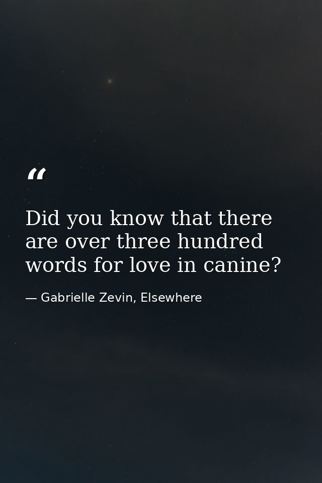 Did you know that there are over three hundred words for love in canine? — Gabrielle Zevin, Elsewhere
