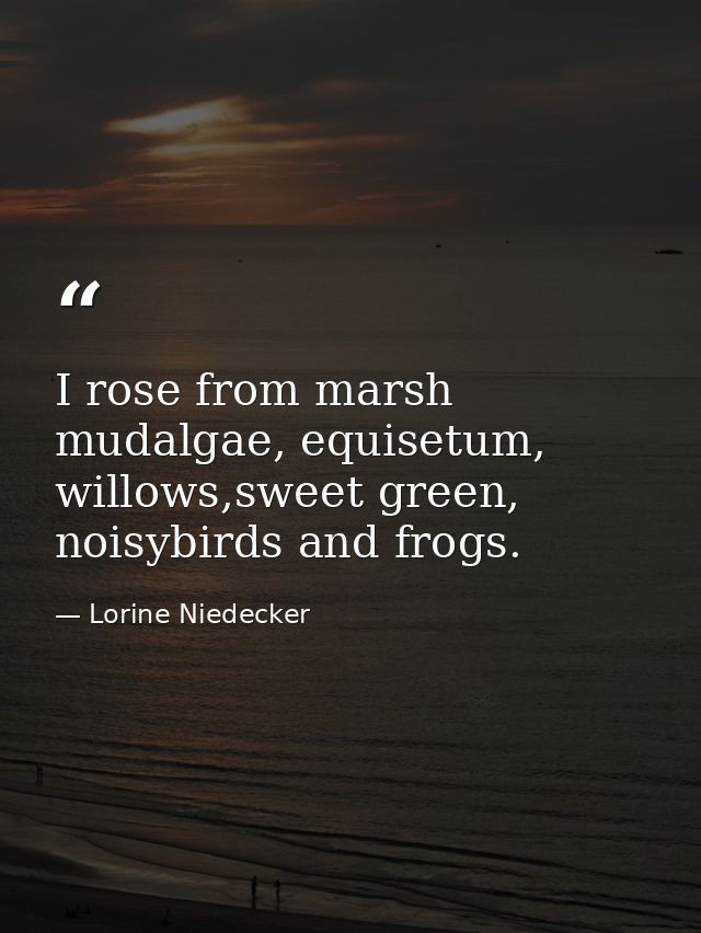 I rose from marsh mudalgae, equisetum, willows,sweet green, noisybirds and frogs. — Lorine Niedecker