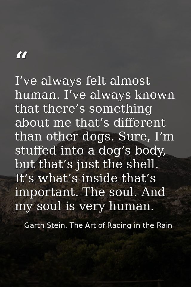 I’ve always felt almost human. I’ve always known that there’s something about me that’s different than other dogs. Sure, — Garth Stein, The Art of Racing in the Rain