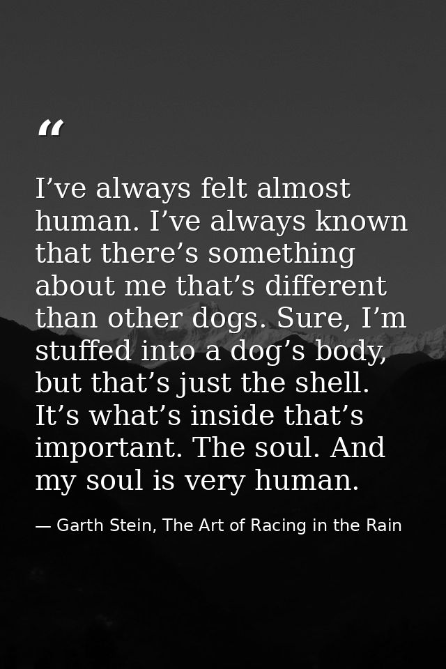 I’ve always felt almost human. I’ve always known that there’s something about me that’s different than other dogs. Sure, — Garth Stein, The Art of Racing in the Rain