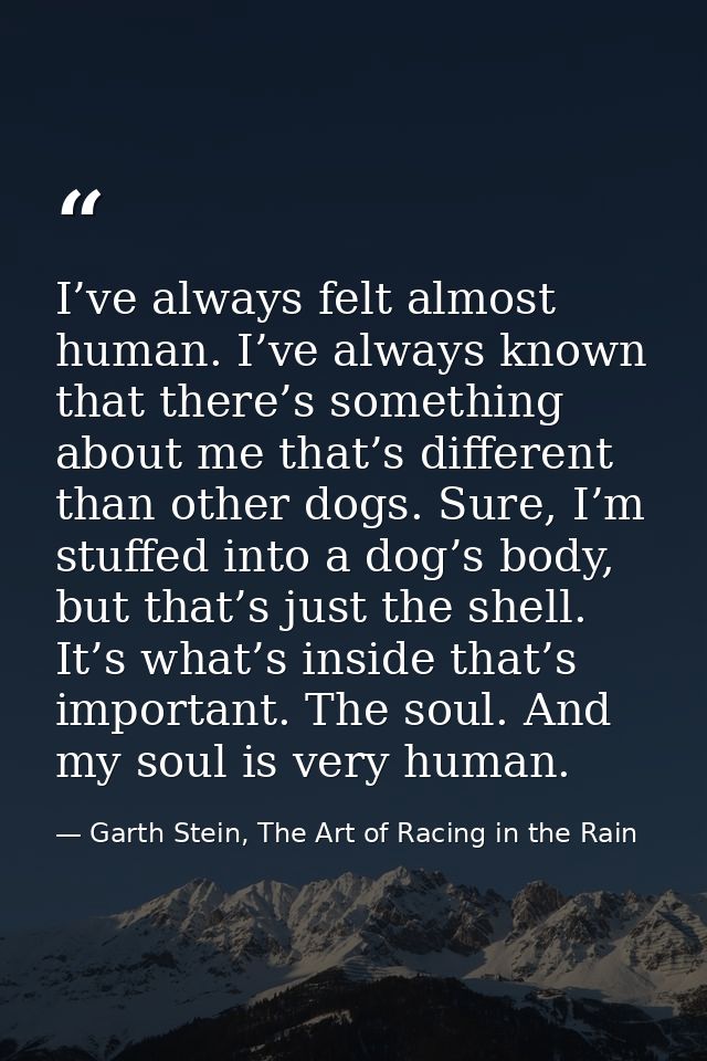 I’ve always felt almost human. I’ve always known that there’s something about me that’s different than other dogs. Sure, — Garth Stein, The Art of Racing in the Rain