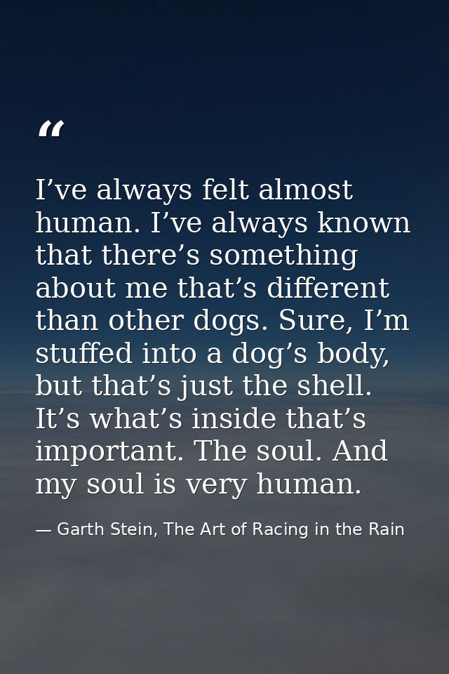 I’ve always felt almost human. I’ve always known that there’s something about me that’s different than other dogs. Sure, — Garth Stein, The Art of Racing in the Rain