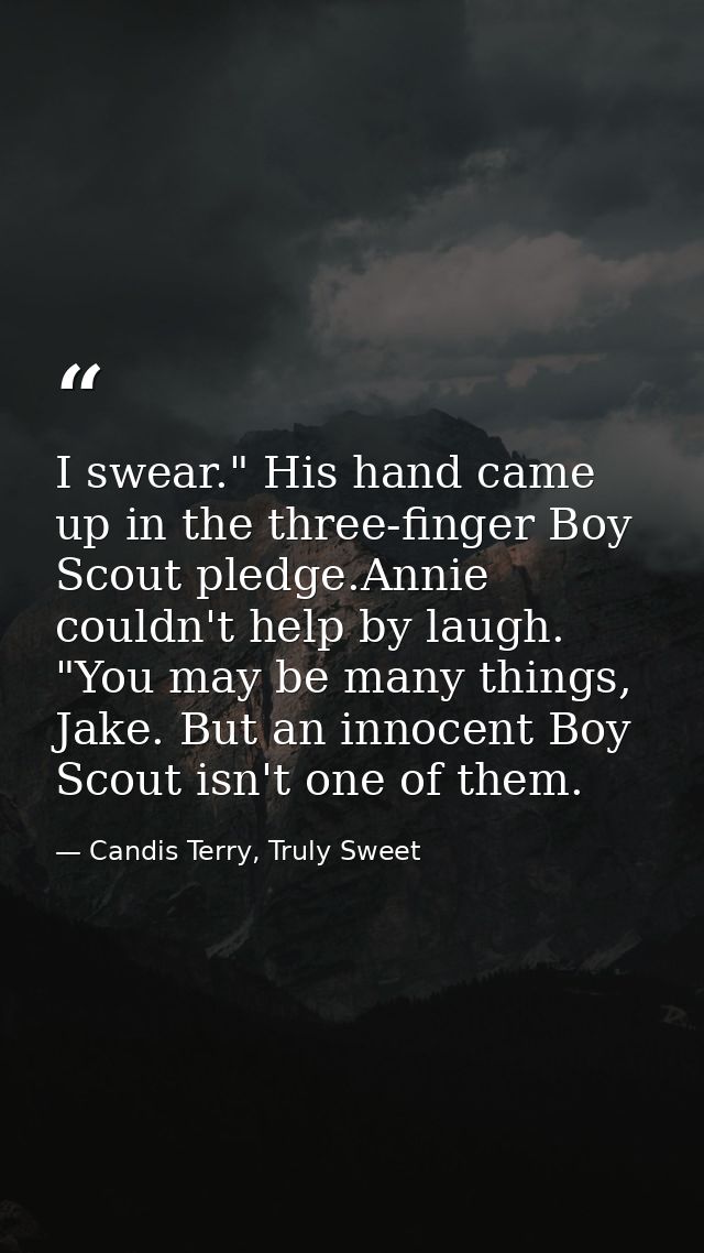 I swear." His hand came up in the three-finger Boy Scout pledge.Annie couldn't help by laugh. "You may be many things, J — Candis Terry, Truly Sweet