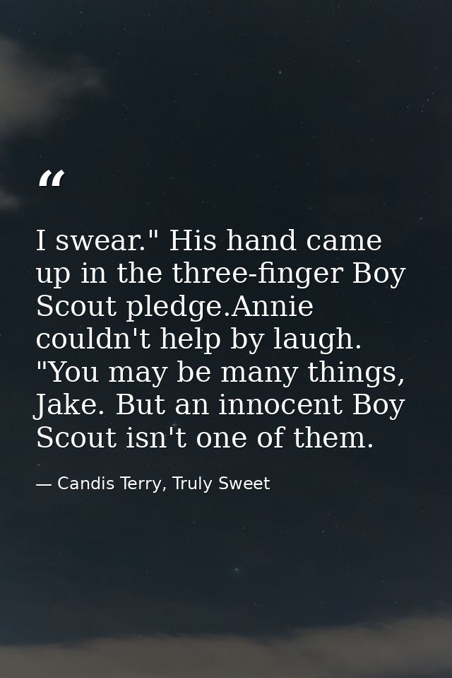 I swear." His hand came up in the three-finger Boy Scout pledge.Annie couldn't help by laugh. "You may be many things, J — Candis Terry, Truly Sweet