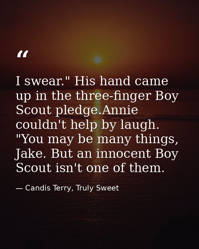 I swear." His hand came up in the three-finger Boy Scout pledge.Annie couldn't help by laugh. "You may be many things, J — Candis Terry, Truly Sweet