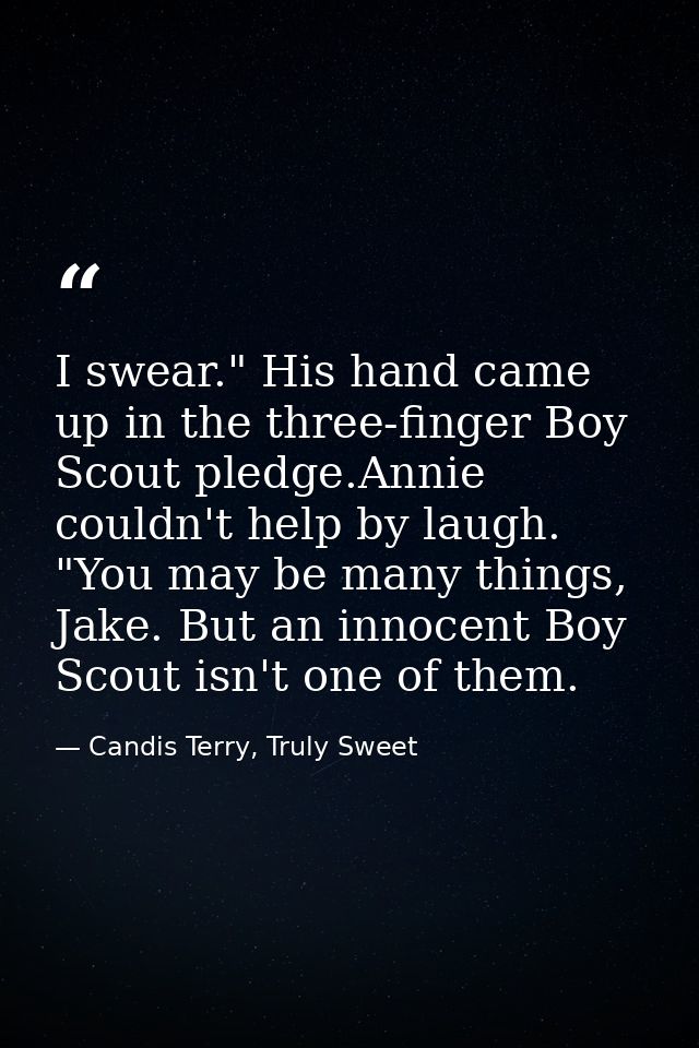 I swear." His hand came up in the three-finger Boy Scout pledge.Annie couldn't help by laugh. "You may be many things, J — Candis Terry, Truly Sweet