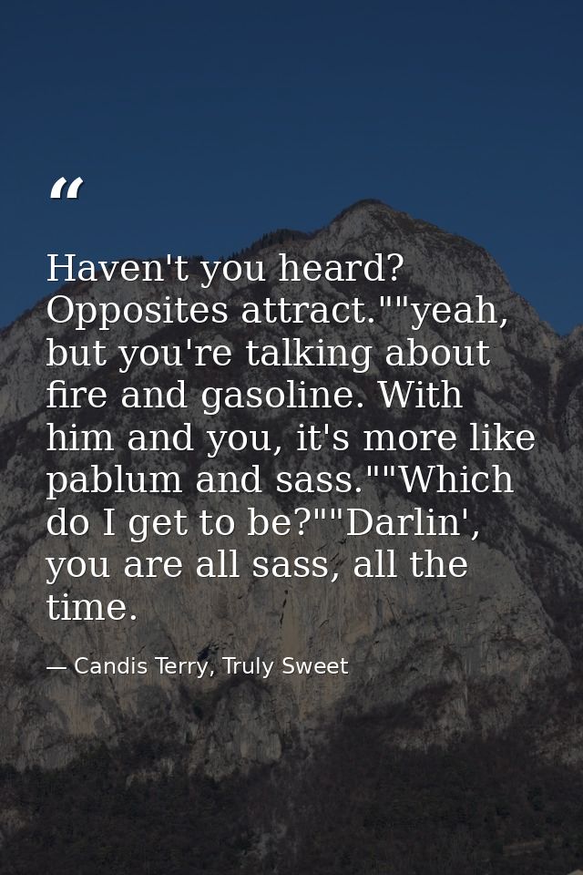 Haven't you heard? Opposites attract.""yeah, but you're talking about fire and gasoline. With him and you, it's more lik — Candis Terry, Truly Sweet