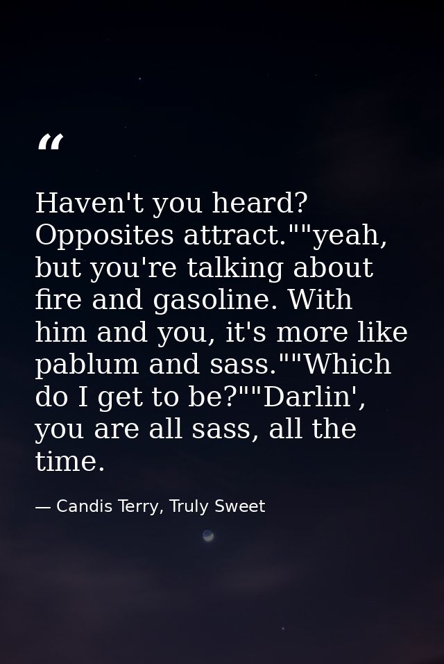 Haven't you heard? Opposites attract.""yeah, but you're talking about fire and gasoline. With him and you, it's more lik — Candis Terry, Truly Sweet