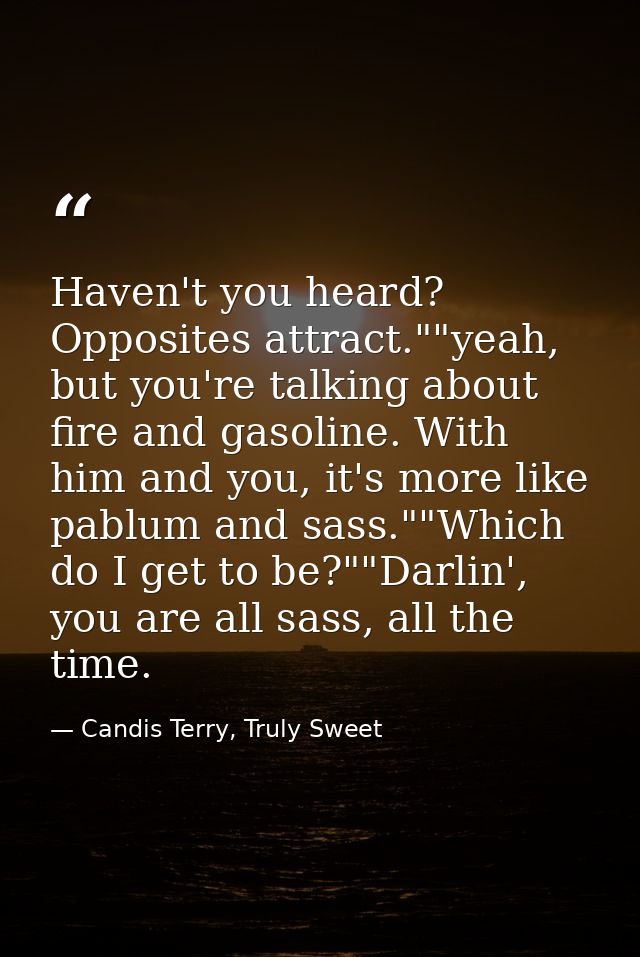 Haven't you heard? Opposites attract.""yeah, but you're talking about fire and gasoline. With him and you, it's more lik — Candis Terry, Truly Sweet