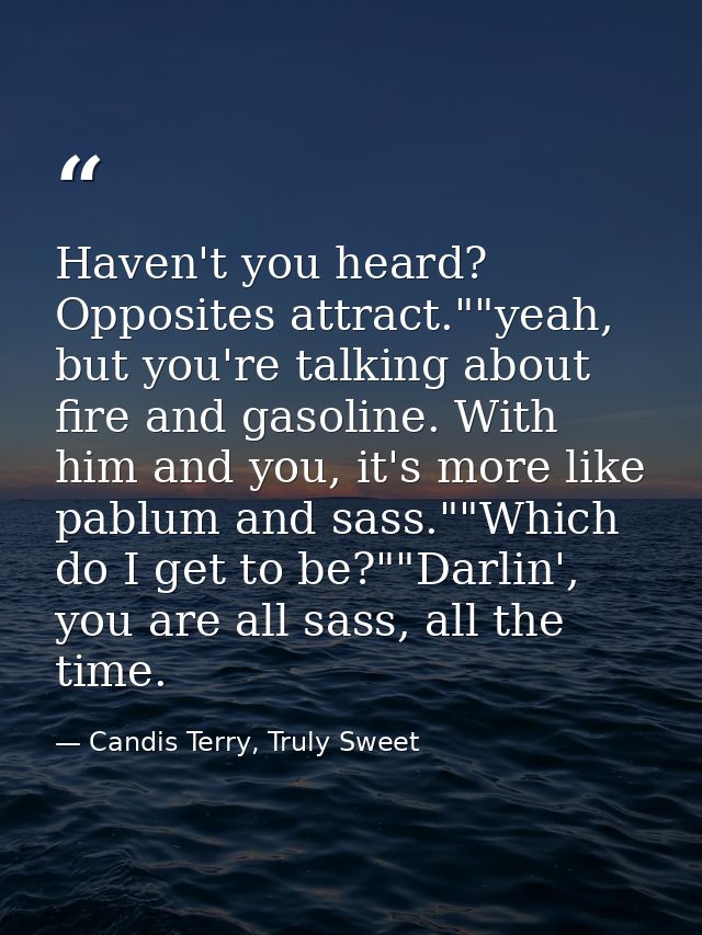 Haven't you heard? Opposites attract.""yeah, but you're talking about fire and gasoline. With him and you, it's more lik — Candis Terry, Truly Sweet