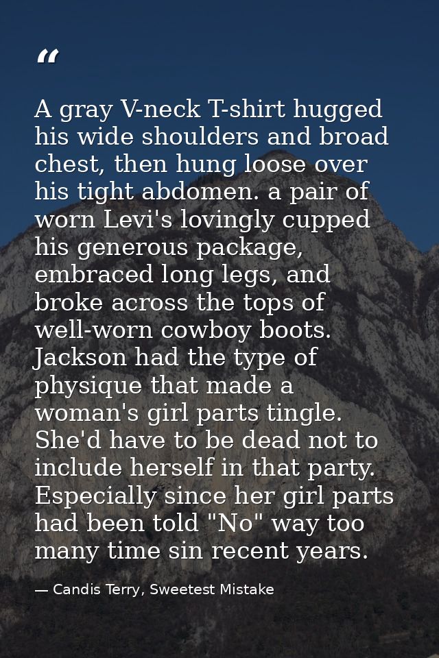 A gray V-neck T-shirt hugged his wide shoulders and broad chest, then hung loose over his tight abdomen. a pair of worn  — Candis Terry, Sweetest Mistake