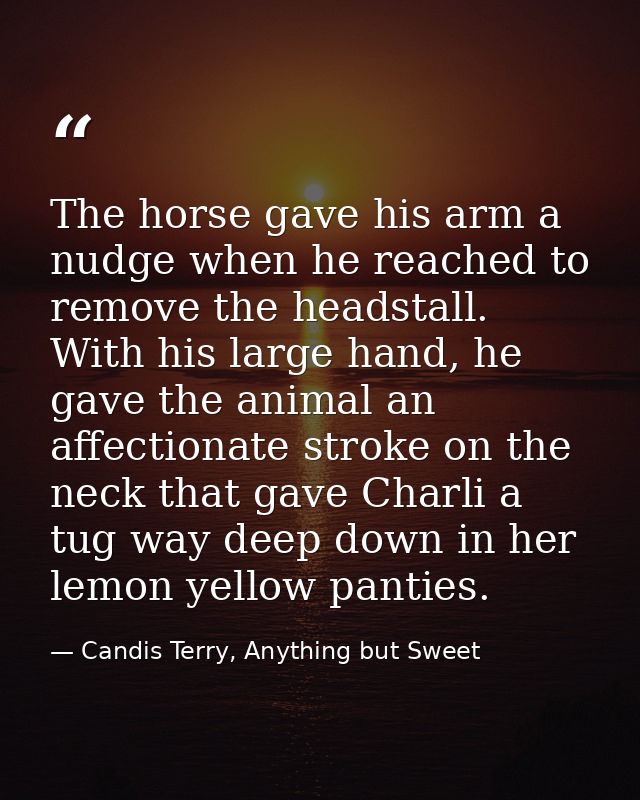 The horse gave his arm a nudge when he reached to remove the headstall. With his large hand, he gave the animal an affec — Candis Terry, Anything but Sweet
