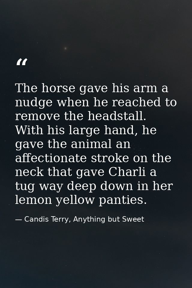 The horse gave his arm a nudge when he reached to remove the headstall. With his large hand, he gave the animal an affec — Candis Terry, Anything but Sweet