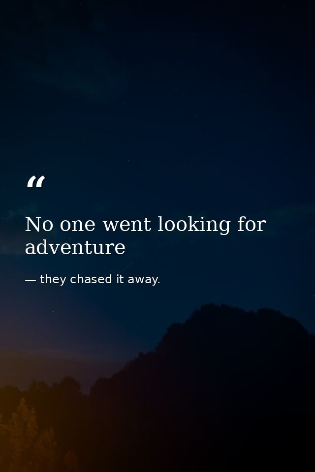 No one went looking for adventure — they chased it away.