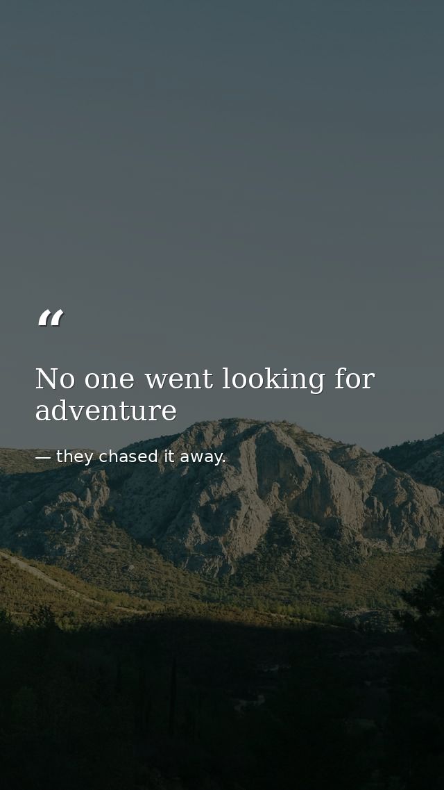 No one went looking for adventure — they chased it away.