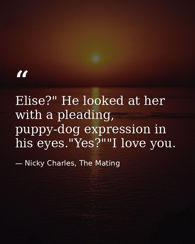 Elise?" He looked at her with a pleading, puppy-dog expression in his eyes."Yes?""I love you. — Nicky Charles, The Mating
