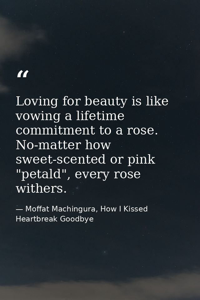 Loving for beauty is like vowing a lifetime commitment to a rose. No-matter how sweet-scented or pink "petald", every ro — Moffat Machingura, How I Kissed Heartbreak Goodbye