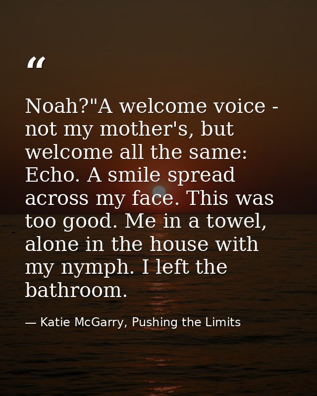 Noah?"A welcome voice - not my mother's, but welcome all the same: Echo. A smile spread across my face. This was too goo — Katie McGarry, Pushing the Limits