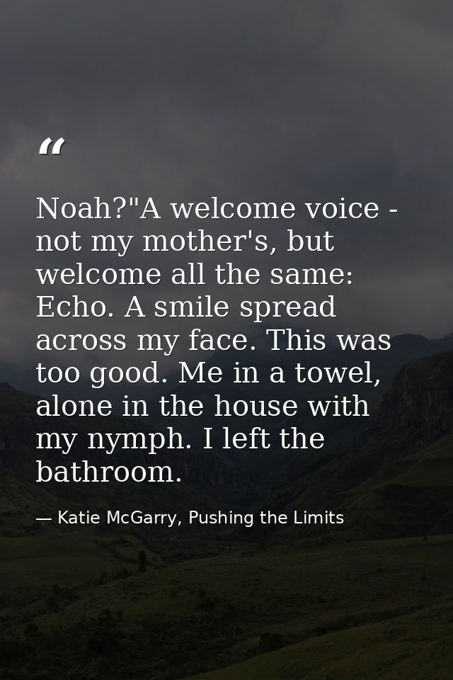 Noah?"A welcome voice - not my mother's, but welcome all the same: Echo. A smile spread across my face. This was too goo — Katie McGarry, Pushing the Limits