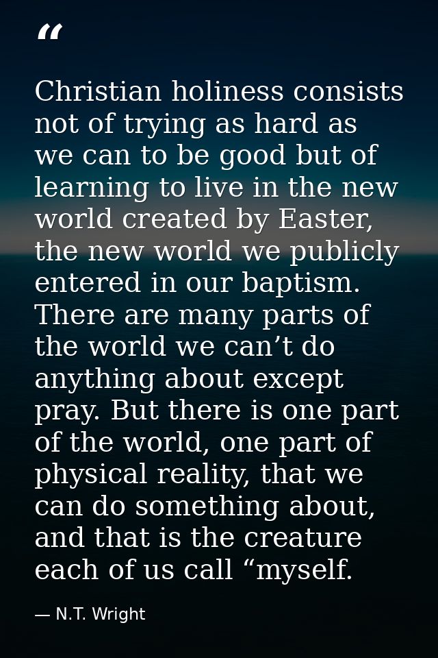 Christian holiness consists not of trying as hard as we can to be good but of learning to live in the new world created  — N.T. Wright