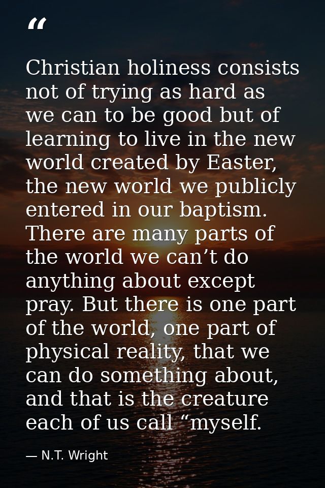 Christian holiness consists not of trying as hard as we can to be good but of learning to live in the new world created  — N.T. Wright