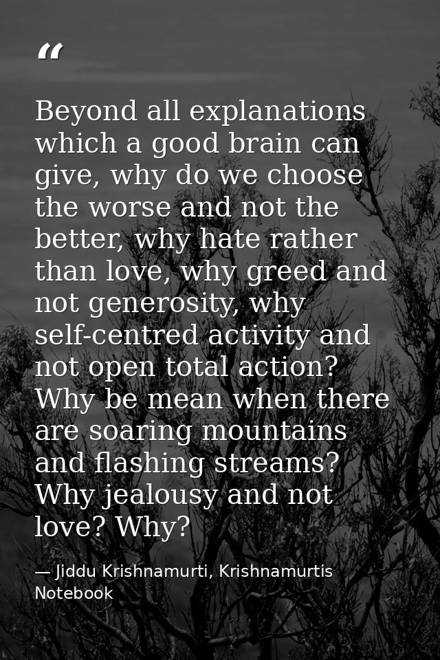Beyond all explanations which a good brain can give, why do we choose the worse and not the better, why hate rather than — Jiddu Krishnamurti, Krishnamurtis Notebook