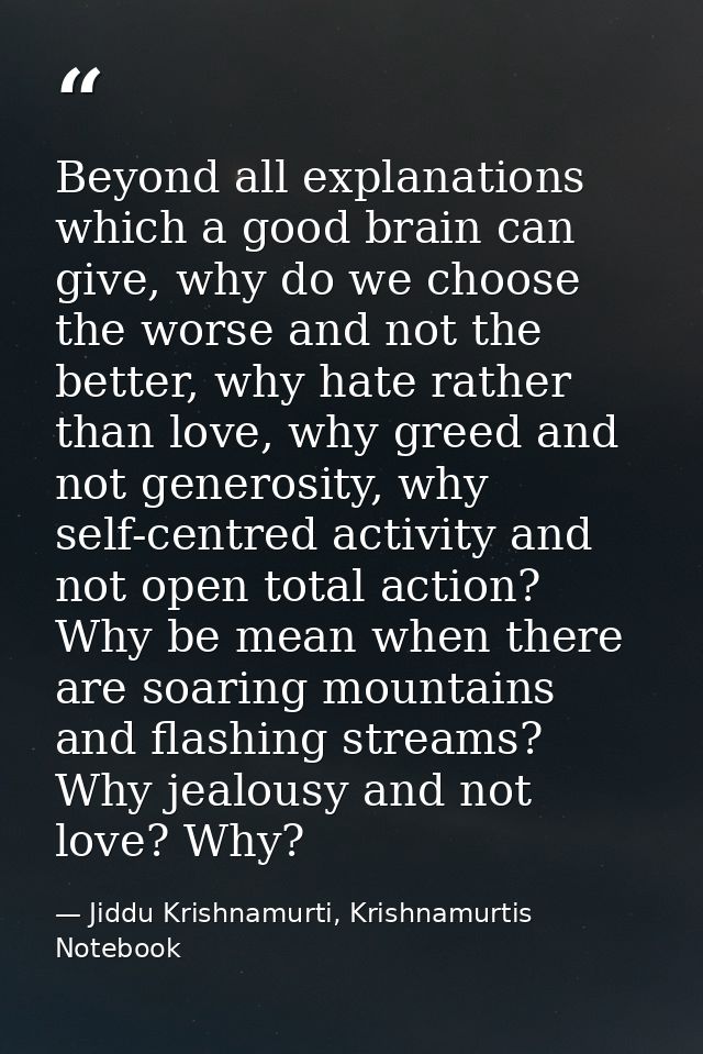 Beyond all explanations which a good brain can give, why do we choose the worse and not the better, why hate rather than — Jiddu Krishnamurti, Krishnamurtis Notebook