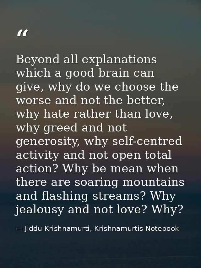 Beyond all explanations which a good brain can give, why do we choose the worse and not the better, why hate rather than — Jiddu Krishnamurti, Krishnamurtis Notebook