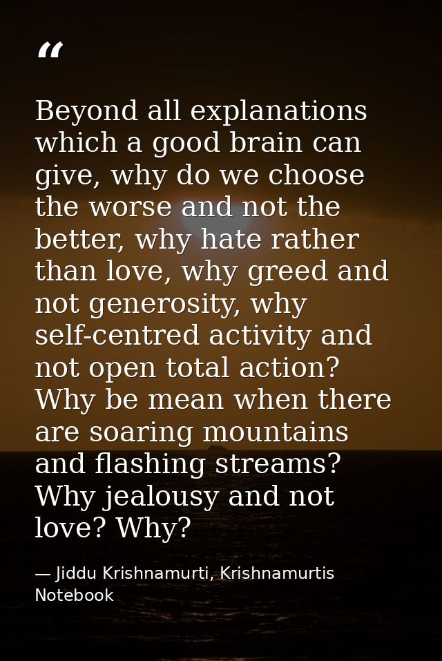 Beyond all explanations which a good brain can give, why do we choose the worse and not the better, why hate rather than — Jiddu Krishnamurti, Krishnamurtis Notebook