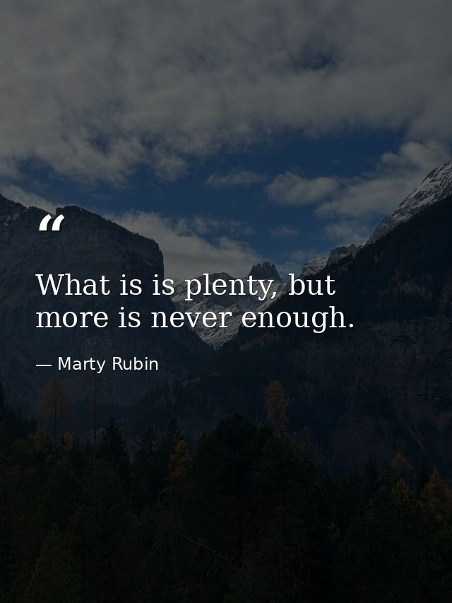 What is is plenty, but more is never enough. — Marty Rubin